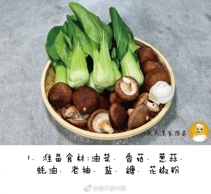 流浪小奶狗游戏